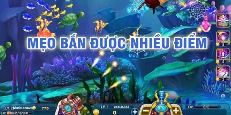 full88 đá gà