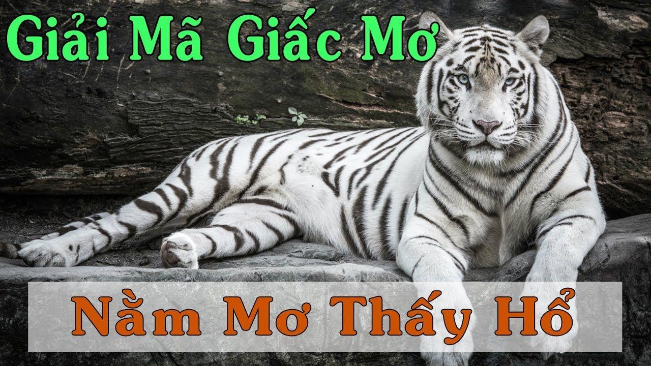 full88 xổ số miền trung