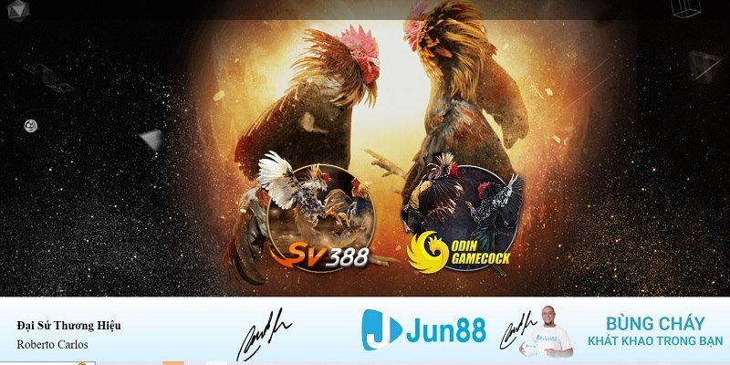 full88 xổ số miền nam hàng tuần