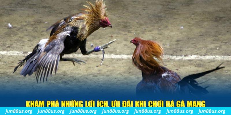 full88 Tài Xỉu 2