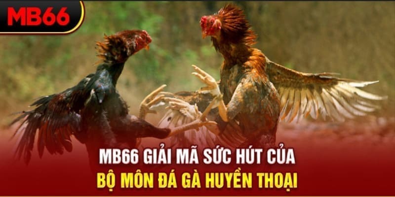 full88 long bảo trong baccarat là gì