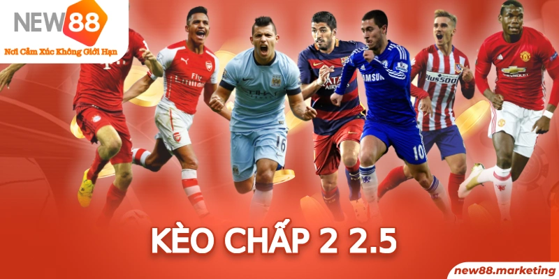 full88 trực tiếp đá gà thomo