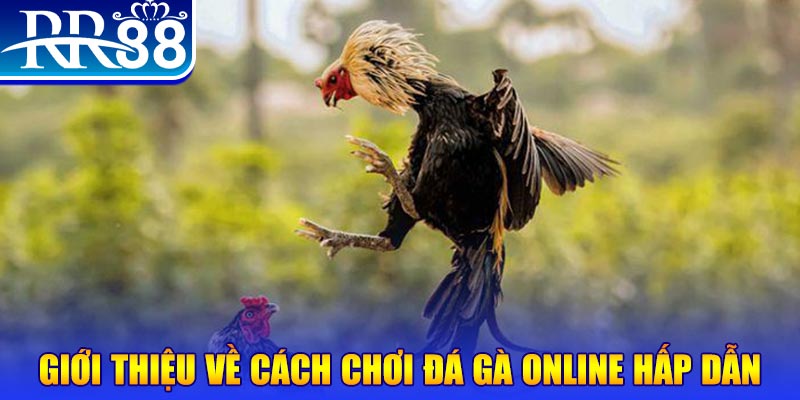full88 nổ hũ 2 mặt là gì