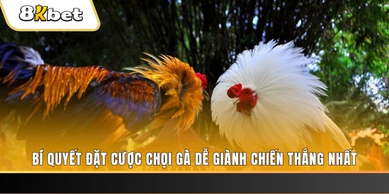 full88 may club nổ hũ