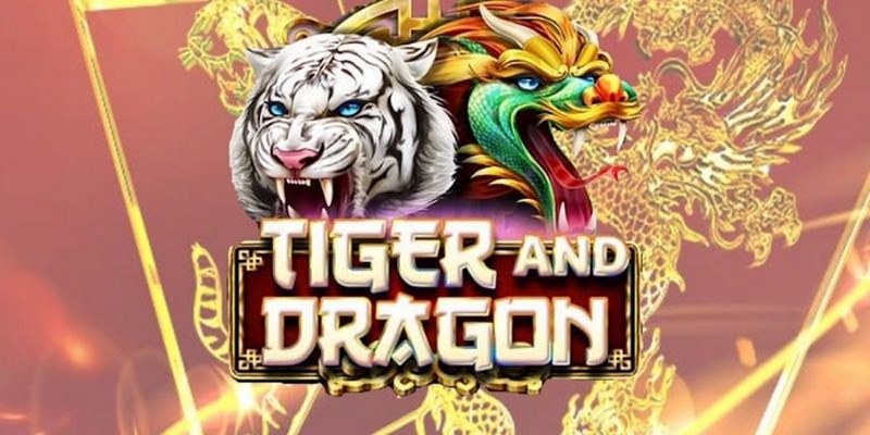full88 cá cược tiếng anh là gì